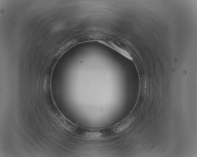 X0000083060266200702161804