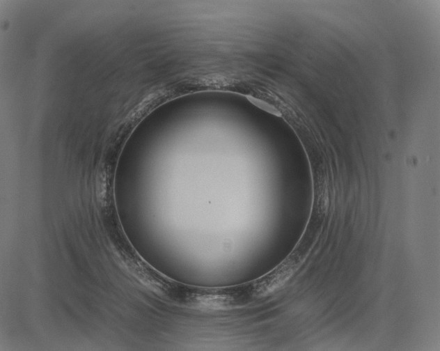 X0000083060268200702161804