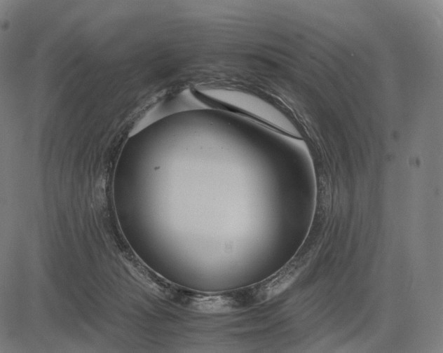 X0000083060269200702161804