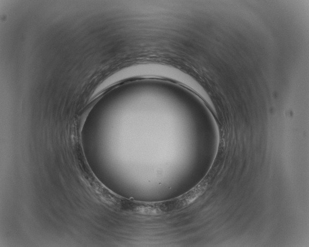 X0000083060272200702161804