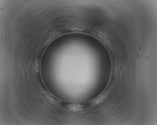 X0000083060273200702161804