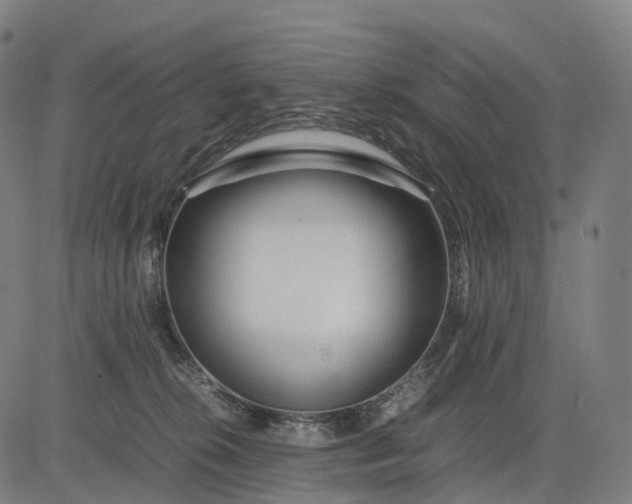 X0000083060276200702161804