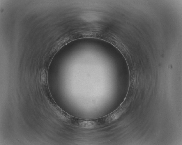 X0000083060277200702161804