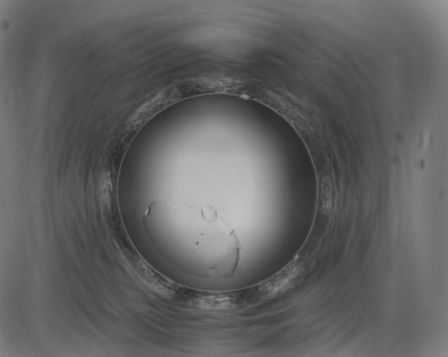 X0000083060279200702161804