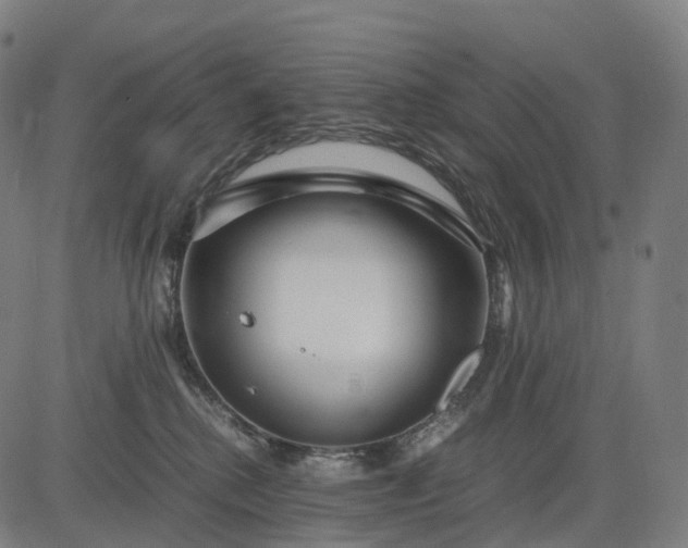 X0000083060280200702161804