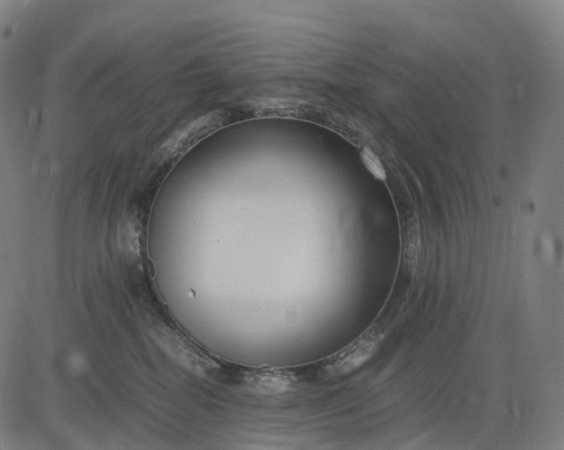 X0000083060282200702161804