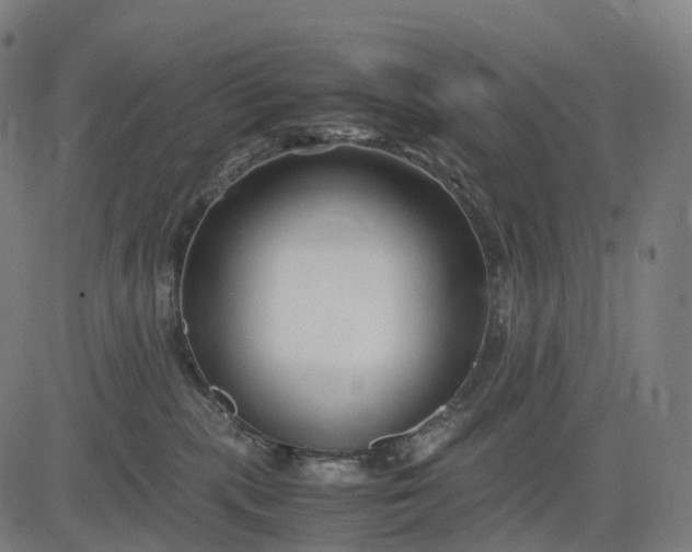 X0000083060283200702161804