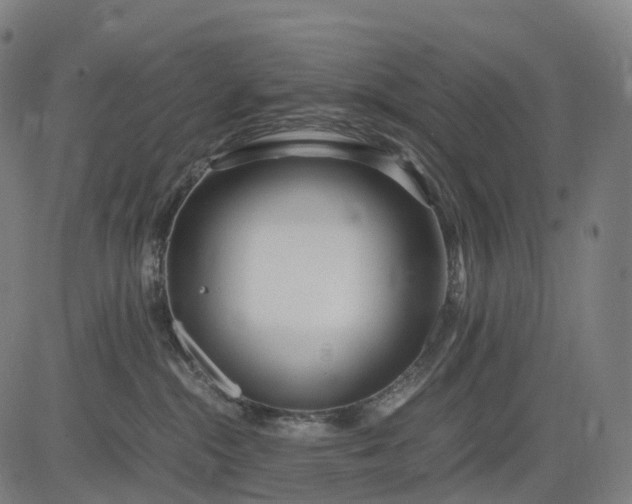 X0000083060284200702161804