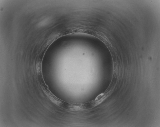 X0000083060285200702161804