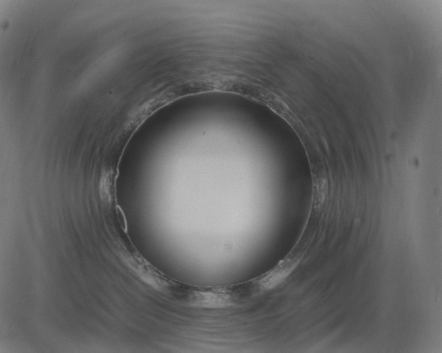 X0000083060286200702161804