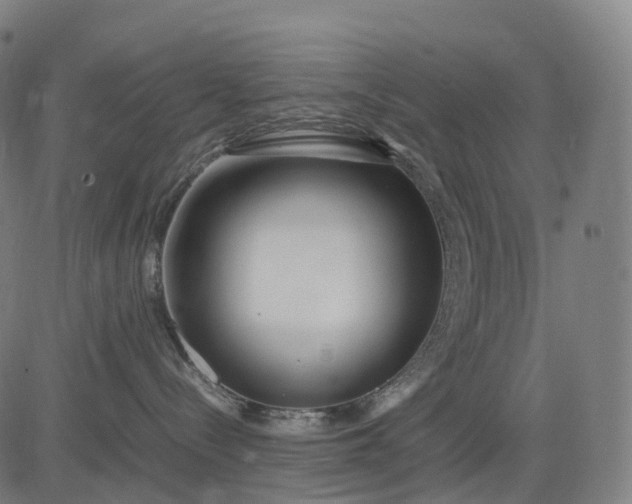 X0000083060288200702161804