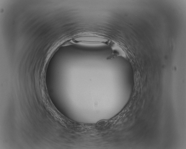 X0000083060289200702161803