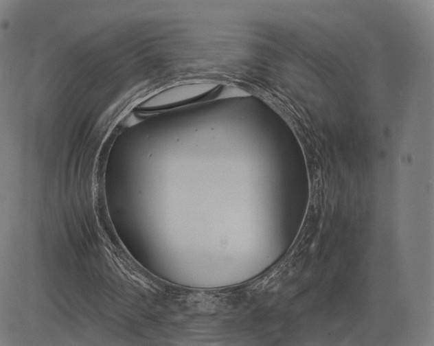 X0000083060290200702161803