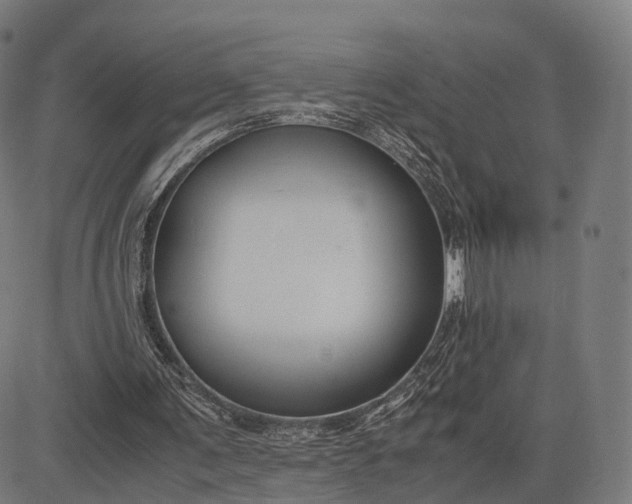 X0000083060291200702161803