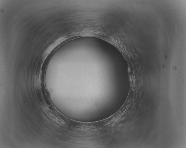 X0000083060292200702161803