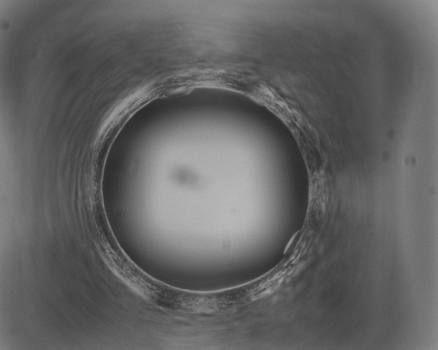 X0000083060293200702161803