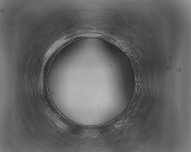 X0000083060296200702161803