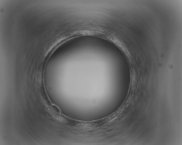 X0000083060297200702161803