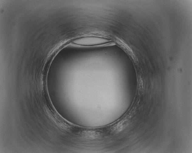 X0000083060298200702161803