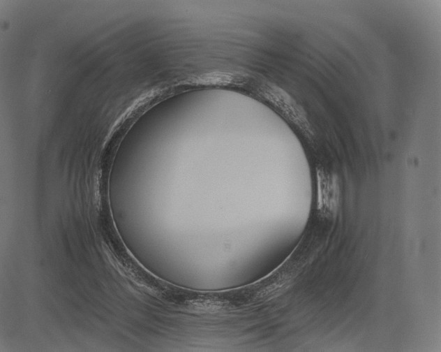 X0000083060300200702161803