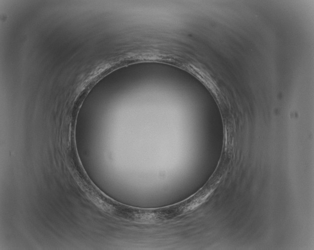 X0000083060301200702161803