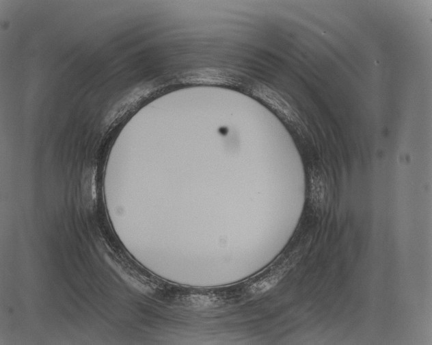 X0000083060302200702161803