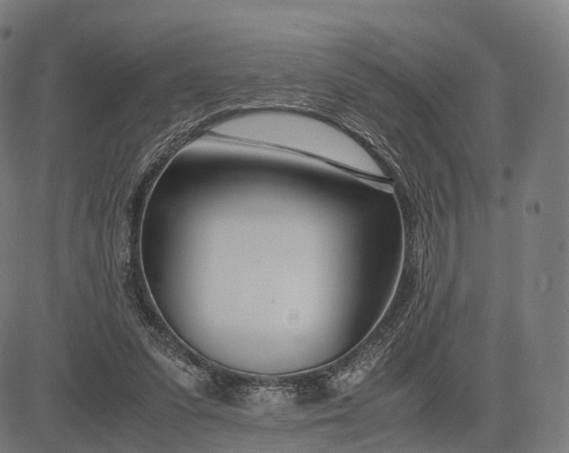 X0000083060303200702161803