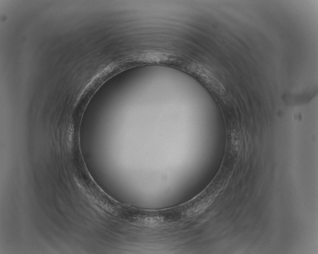 X0000083060304200702161803