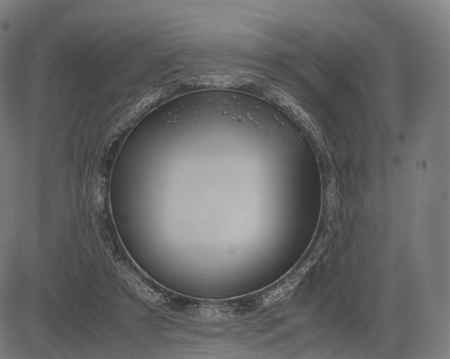 X0000083060305200702161803