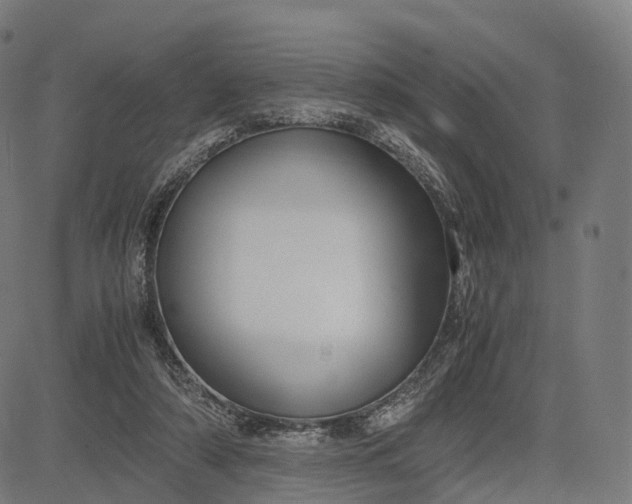 X0000083060306200702161803