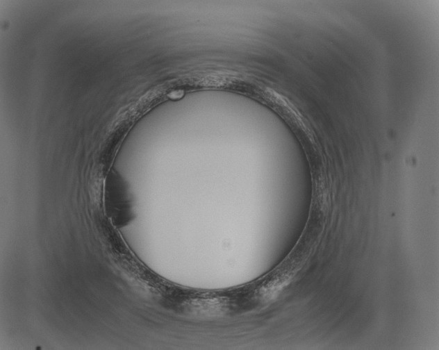 X0000083060307200702161803