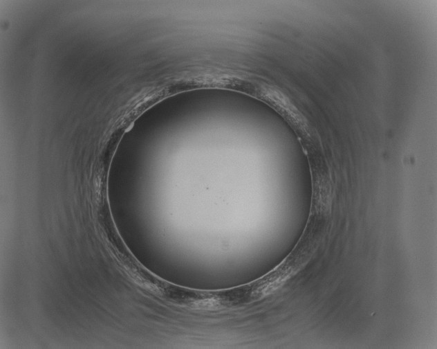 X0000083060309200702161803