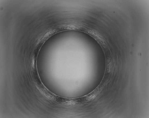 X0000083060310200702161803