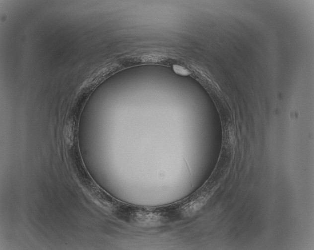 X0000083060311200702161803