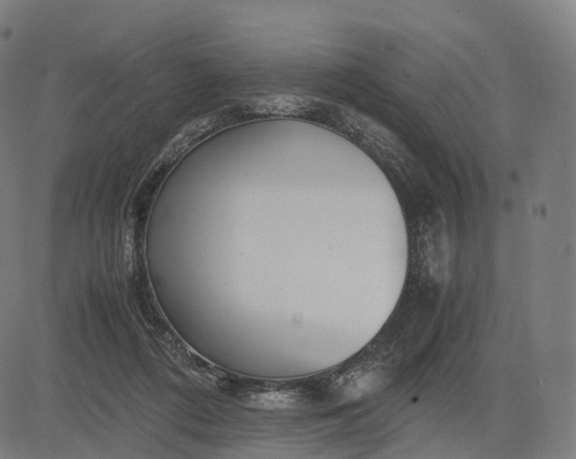 X0000083060312200702161803