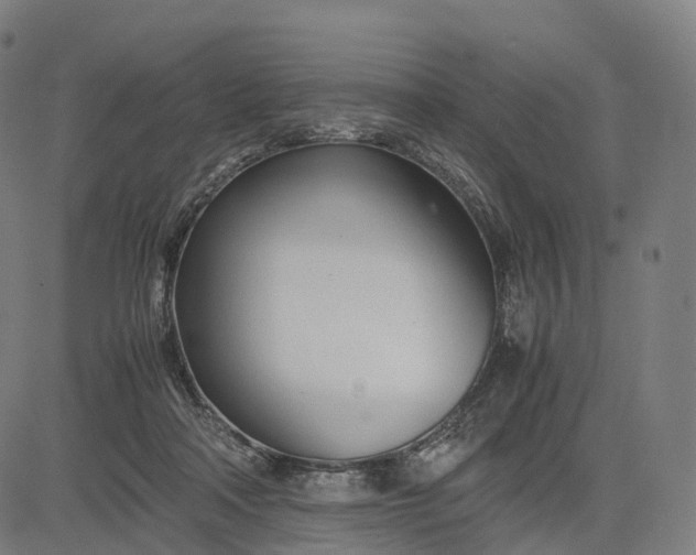 X0000083060314200702161803