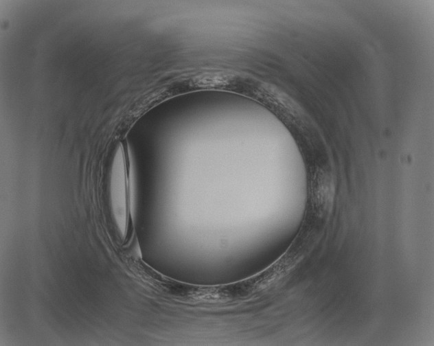 X0000083060315200702161803