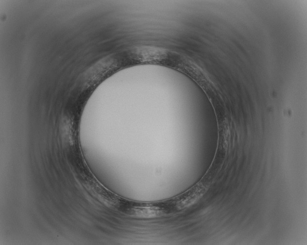 X0000083060316200702161803