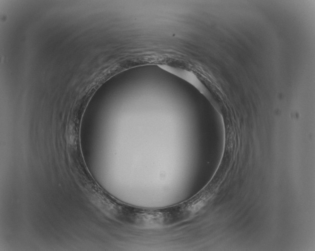 X0000083060317200702161803