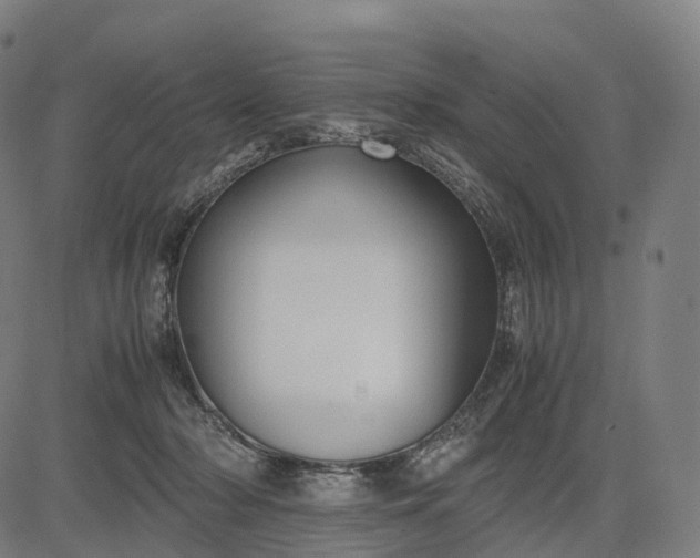 X0000083060318200702161803