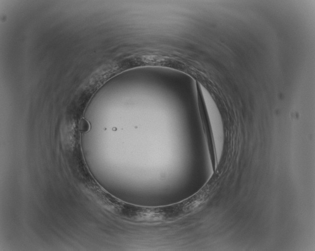 X0000083060319200702161803