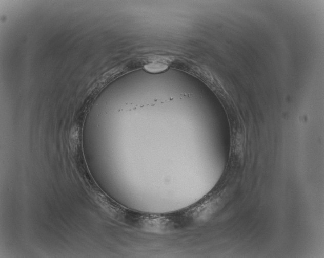 X0000083060321200702161803