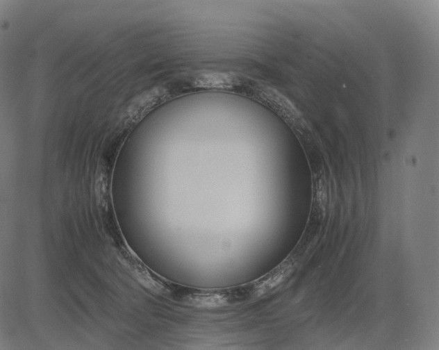 X0000083060322200702161803