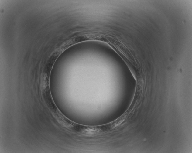 X0000083060323200702161803