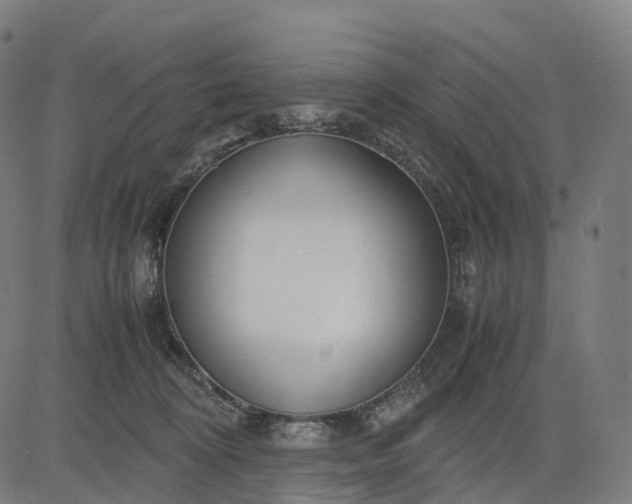 X0000083060324200702161803