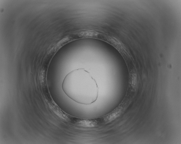 X0000083060326200702161803