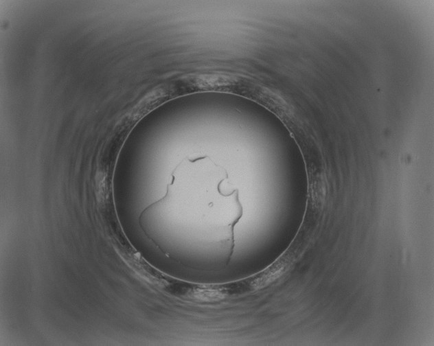 X0000083060327200702161803