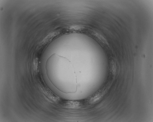 X0000083060328200702161803