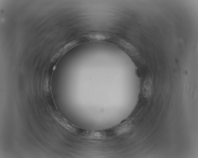 X0000083060330200702161803