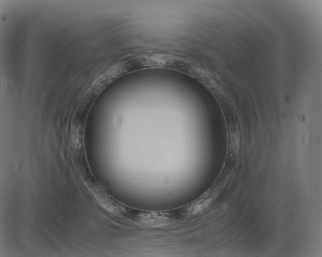 X0000083060331200702161803